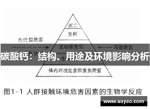 碳酸钙：结构、用途及环境影响分析