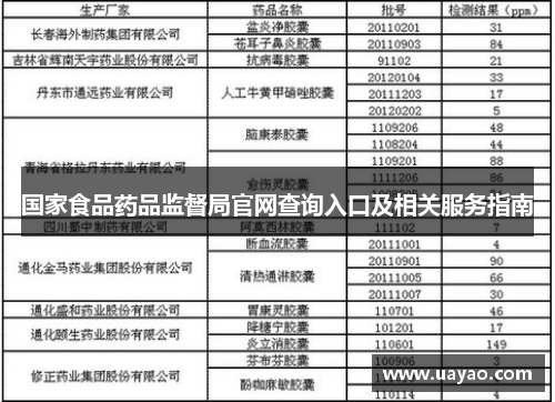 国家食品药品监督局官网查询入口及相关服务指南